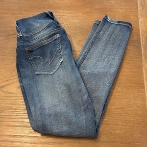 Wallflower Classic Blue Skinny Jeans